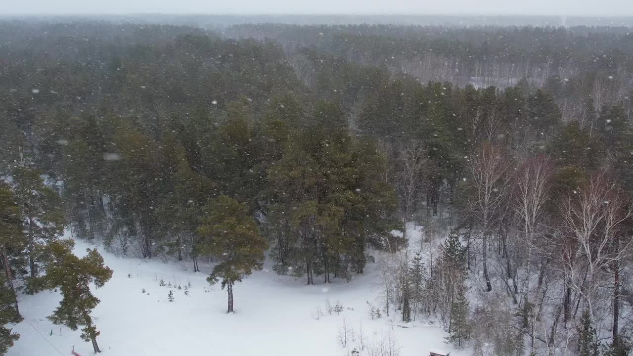 在大雪中飞行。鸟瞰冬季冰雪覆盖的森林。西伯利亚冬季森林上空飞行，俯视图。视频下载