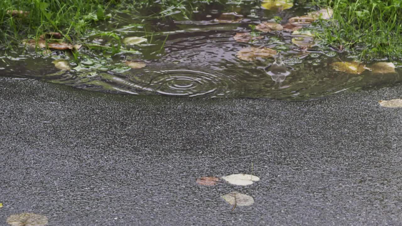 雨落在柏油路慢镜头180帧视频素材