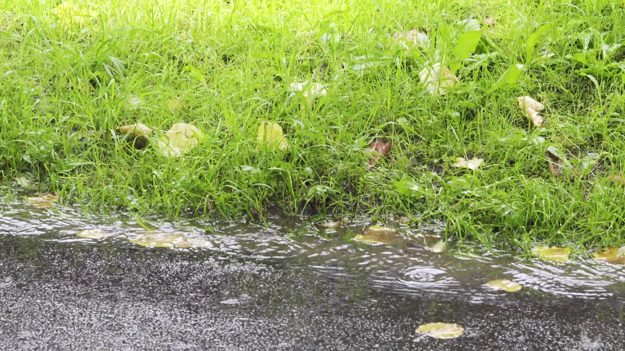 雨落在柏油路慢镜头180帧视频素材