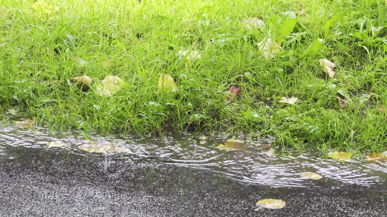 雨落在柏油路慢镜头180帧视频素材