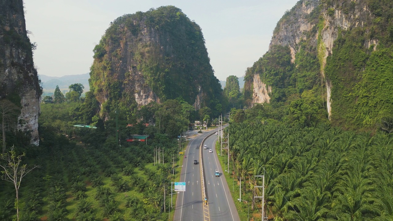 泰国棕榈油种植园道路的鸟瞰图视频素材