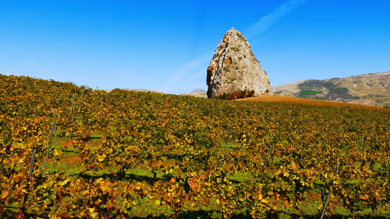 葡萄园和岩层的鸟瞰- Pizzo Pietralunga。大岩石在景观附近Borgo Schiro -鸟瞰图-西西里岛，巴勒莫省，Monreale，意大利视频素材