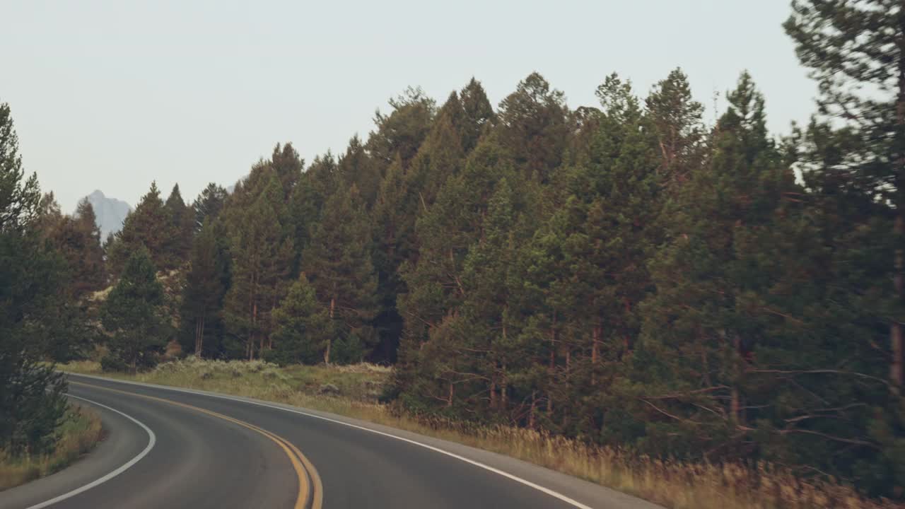 弯曲的公路，森林和山脉视频素材