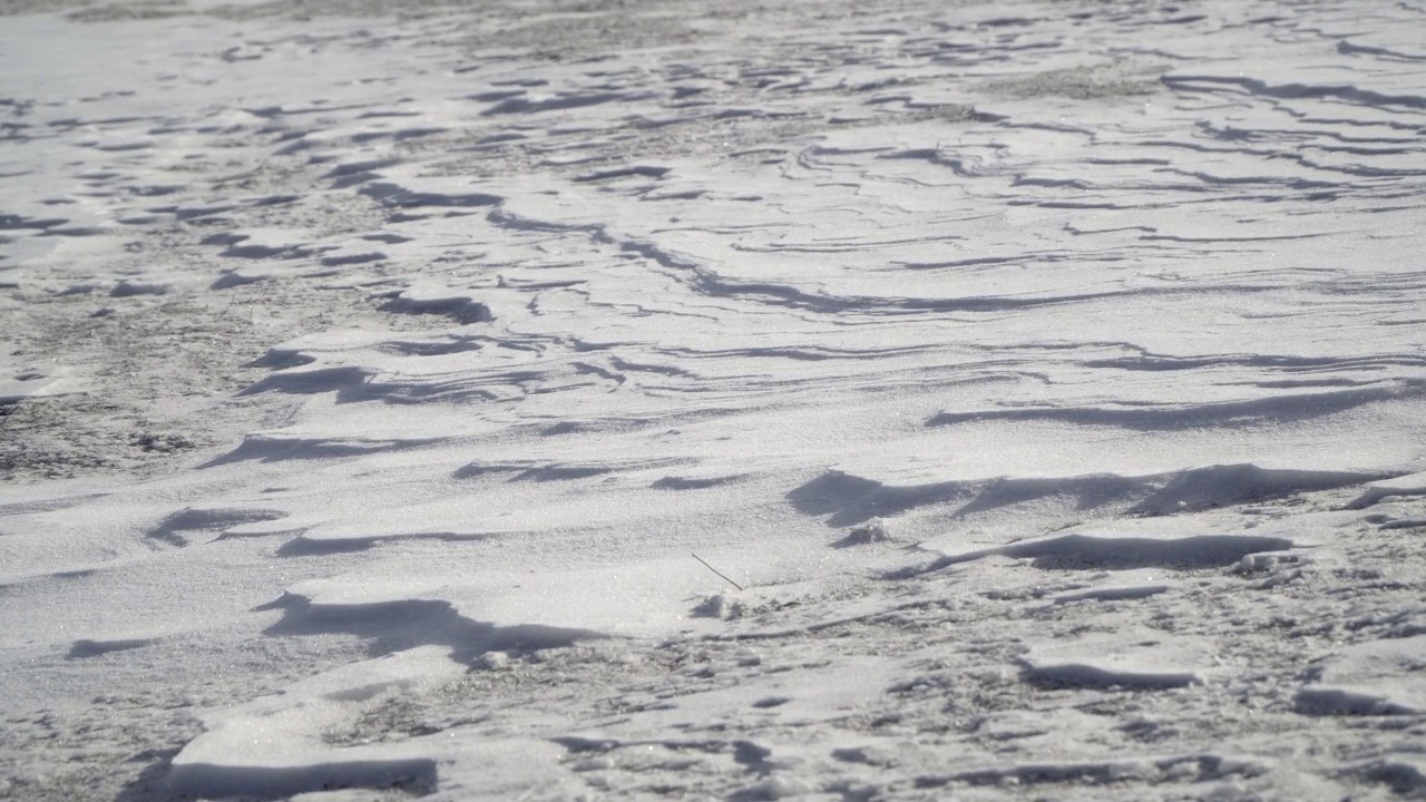 北极暴风雪暴风雪，极地冬季吹风雪飘极低温视频素材