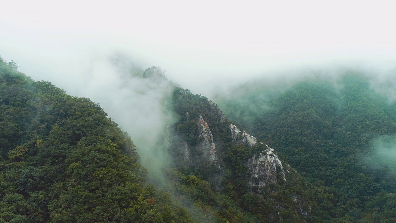 雾中的曹溪山/顺天市，全南道，韩国视频素材