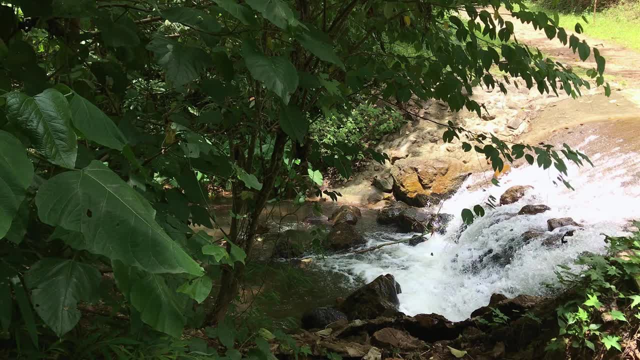 美丽的小瀑布流动流动和热带绿色植物在泰国的自然丛林森林。视频素材