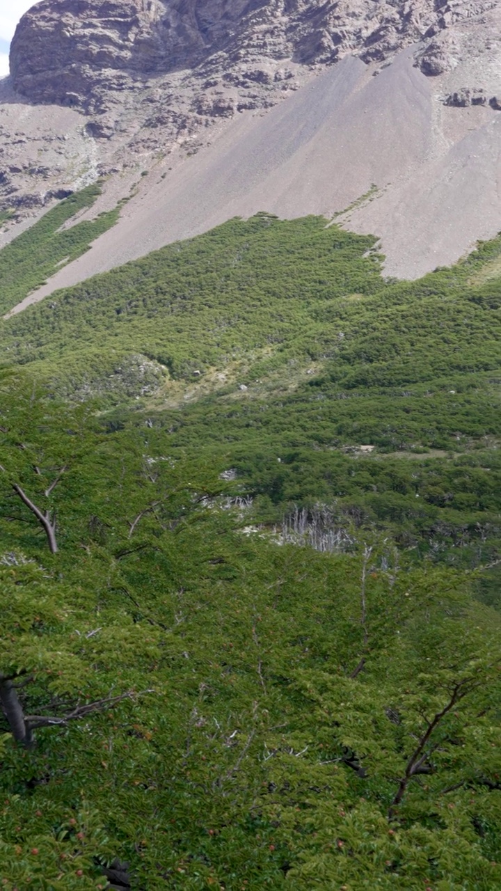 在托雷斯·德尔·潘恩国家公园，英伦视角下的山林全景视频素材