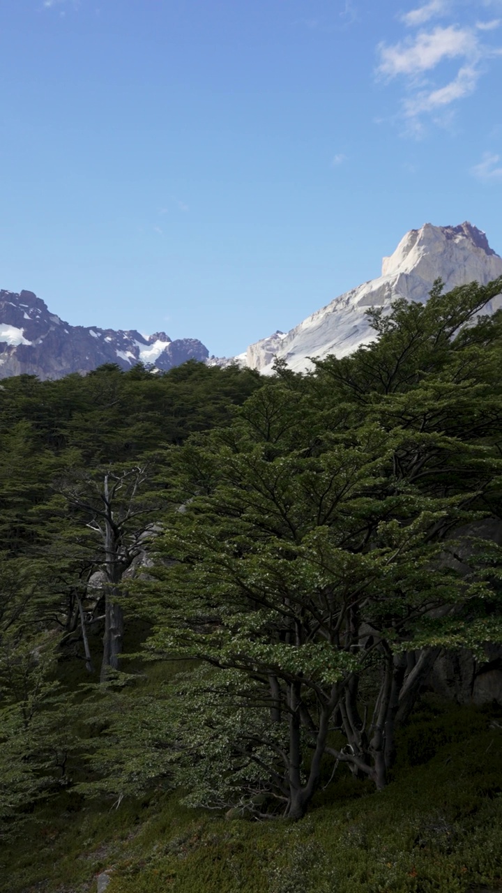 在托雷斯德尔潘恩国家公园的英国视点，山和森林的动态全景视频素材