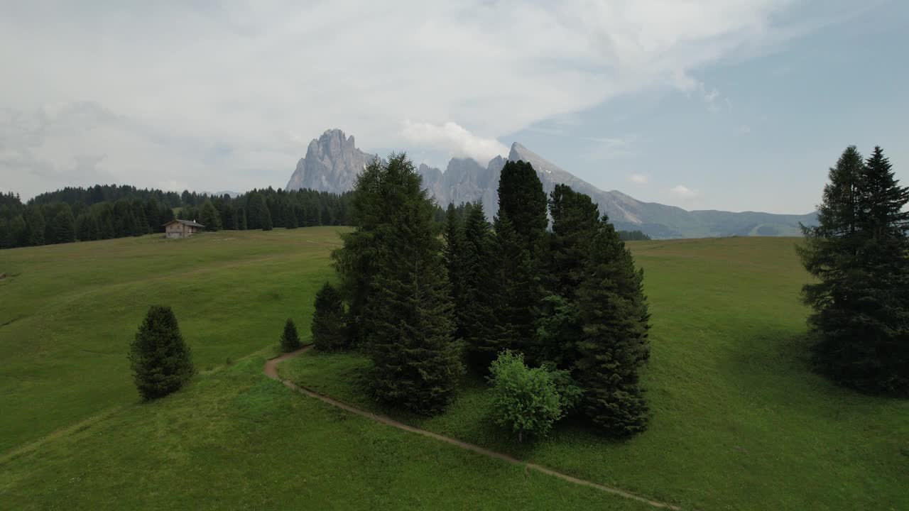 阿尔卑斯山迪Siusi地震Alm，白云石阿尔卑斯山，意大利，欧洲在一个阳光灿烂的日子视频素材