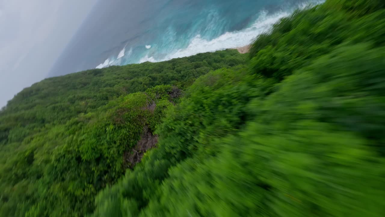 山速潜丛林植被大海海浪天堂海滩热带景观鸟瞰视频素材