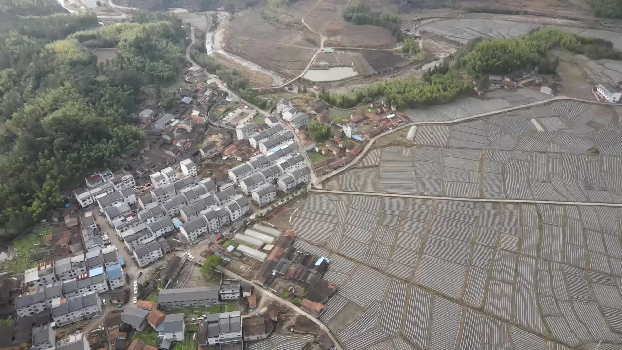 农田和乡村房屋，晴天的林地视频素材