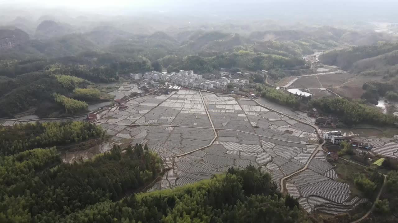 农村房屋和田地的鸟瞰图视频素材