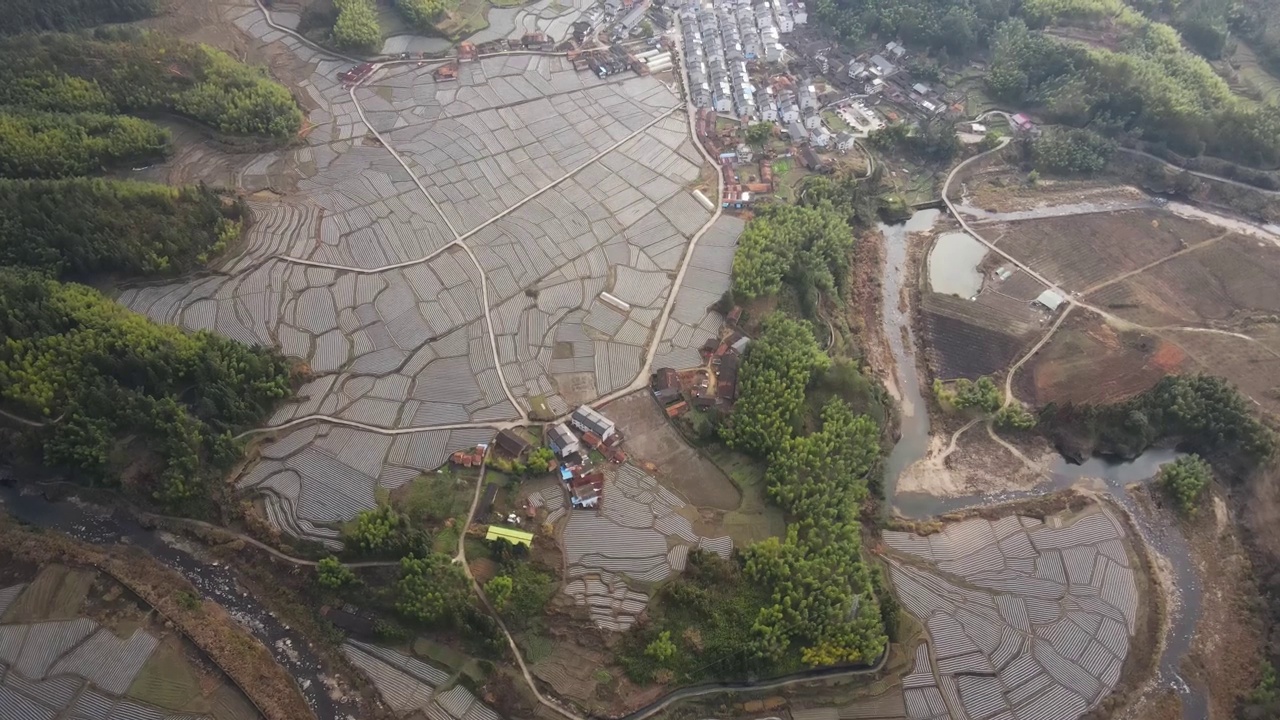 农田和乡村房屋，晴天的林地视频素材