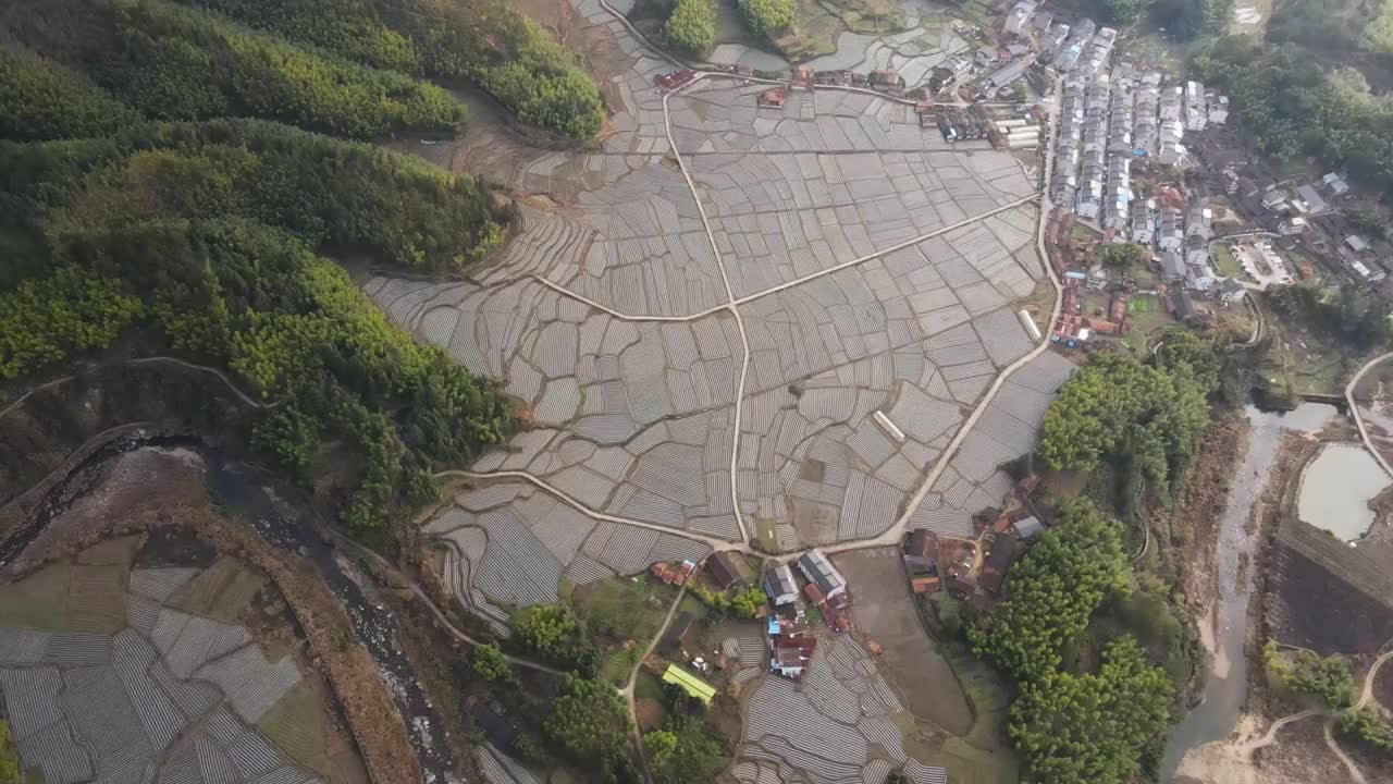 农田和乡村房屋，晴天的林地视频素材