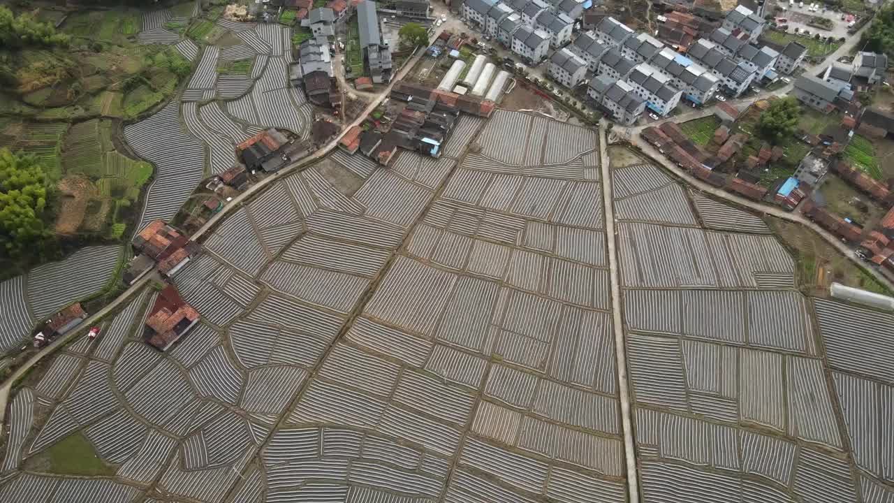 农田和乡村房屋，晴天的林地视频素材