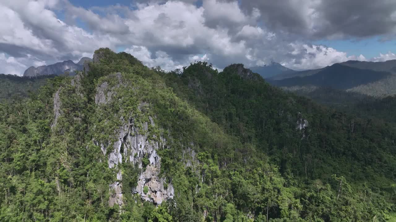 菲律宾巴拉望岛丛林中杂草丛生的岩石视频素材