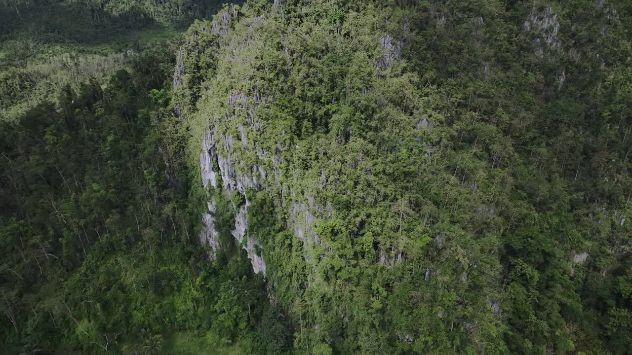 菲律宾巴拉望岛丛林中杂草丛生的岩石视频素材