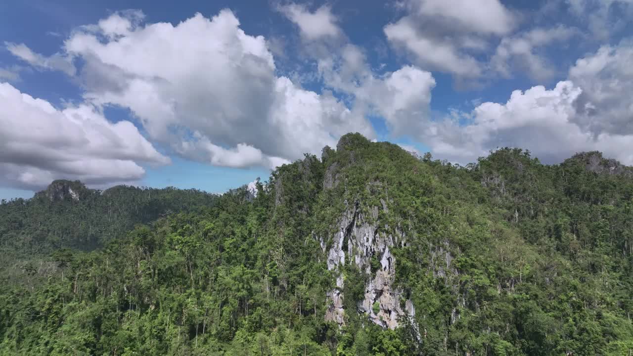 菲律宾巴拉望岛丛林中杂草丛生的岩石视频素材