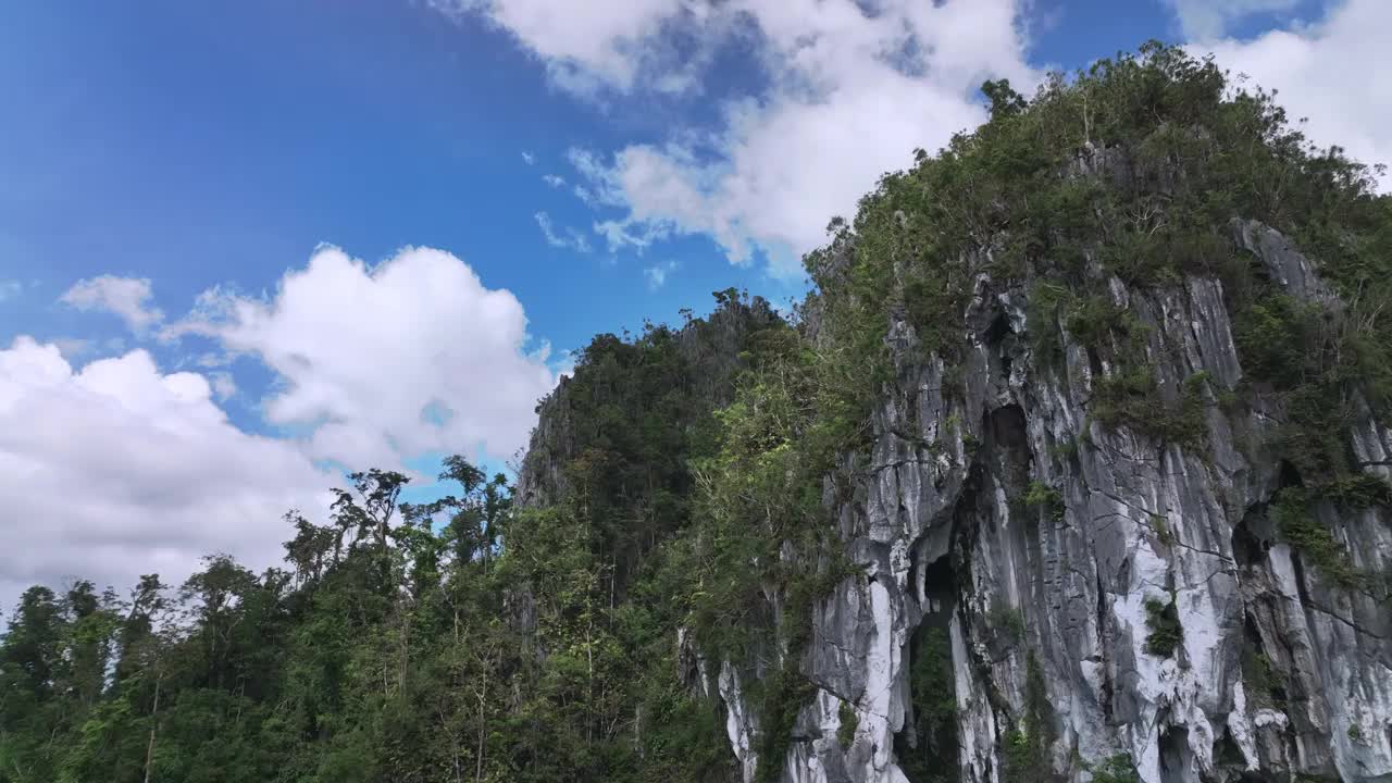 菲律宾巴拉望岛丛林中杂草丛生的岩石视频素材