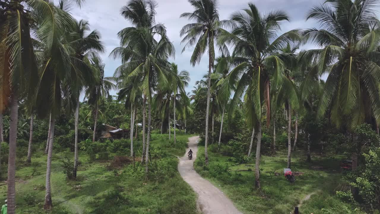 巴拉望岛热带地区的窄路视频素材