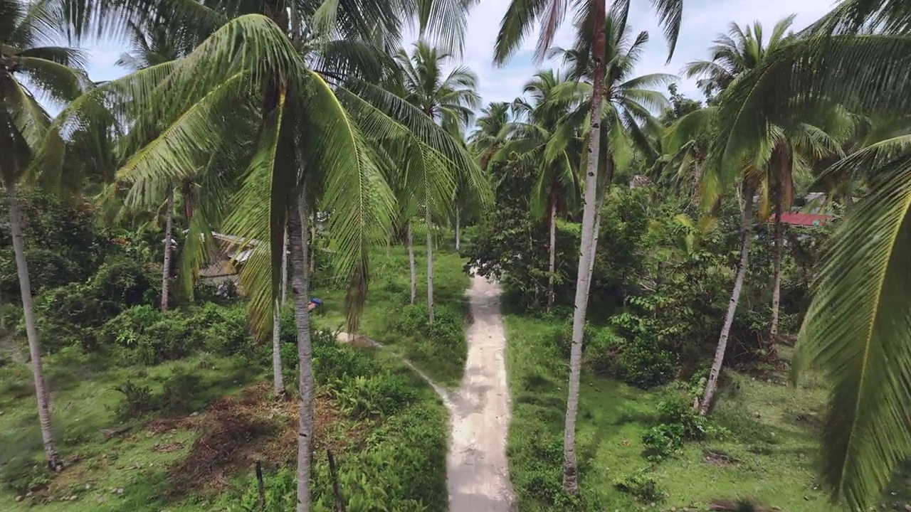 巴拉望岛热带地区的狭窄道路视频素材