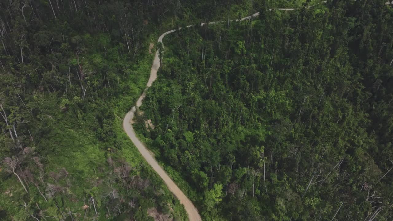 巴拉望岛热带地区的狭窄道路视频素材