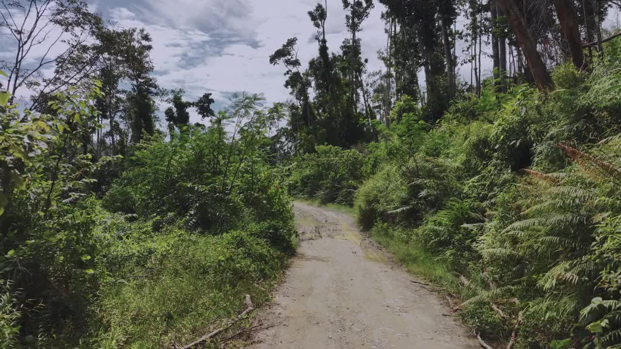 巴拉望岛热带地区的狭窄道路视频素材