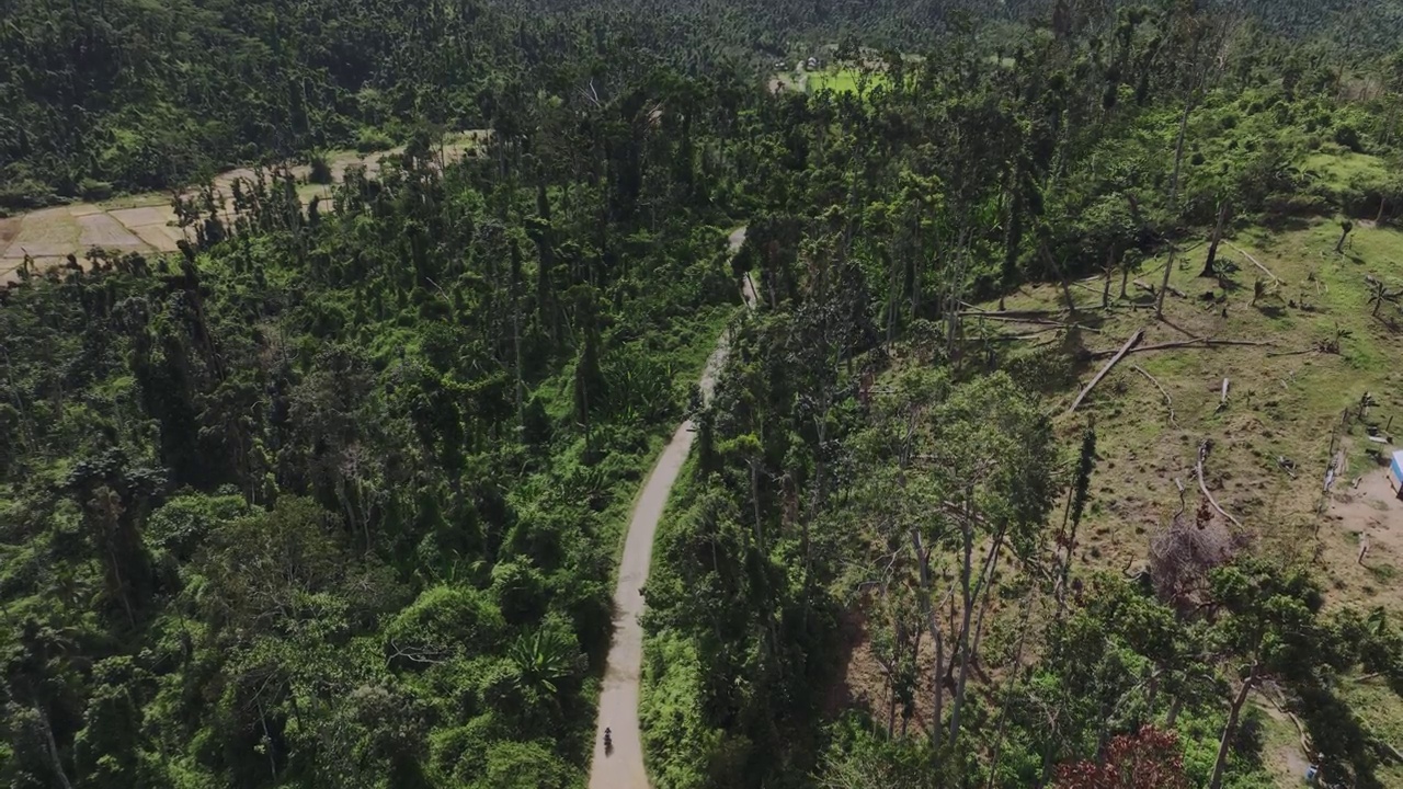 巴拉望岛热带地区的狭窄道路视频素材