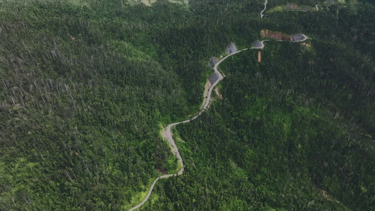 巴拉望岛热带地区的狭窄道路视频素材