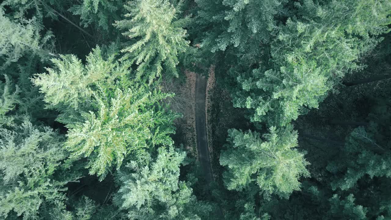 施瓦茨瓦尔德的鸟瞰图视频素材