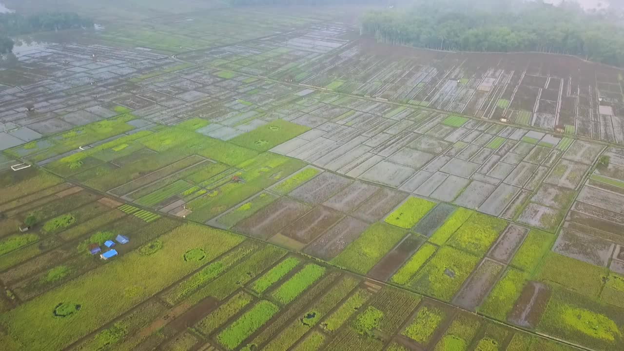 亚洲稻田的鸟瞰图视频素材