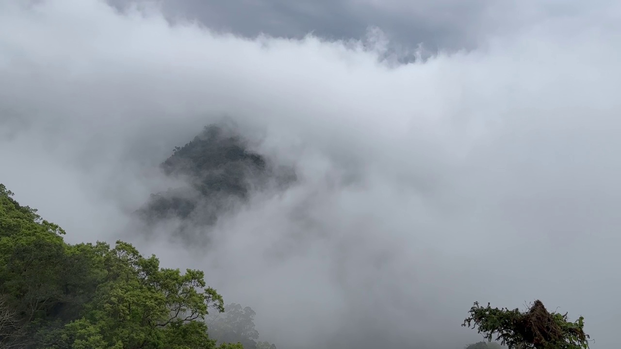 山上的雾视频素材