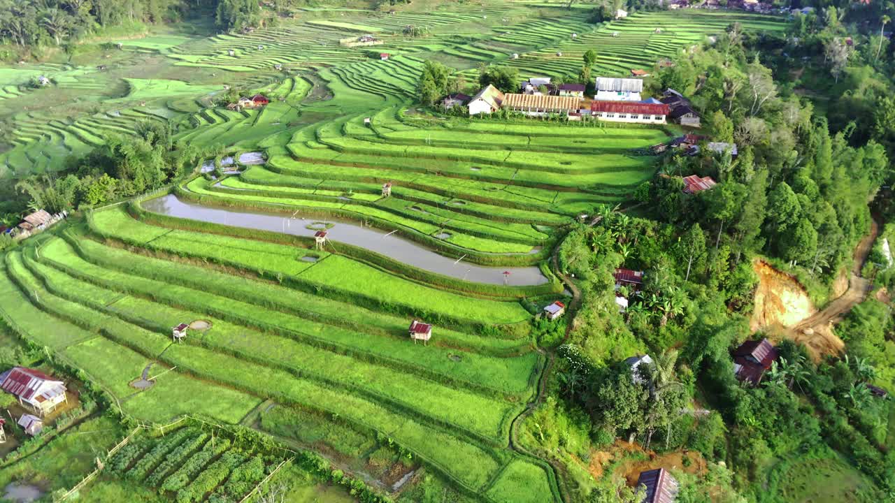 灰褐色旅游村视频素材