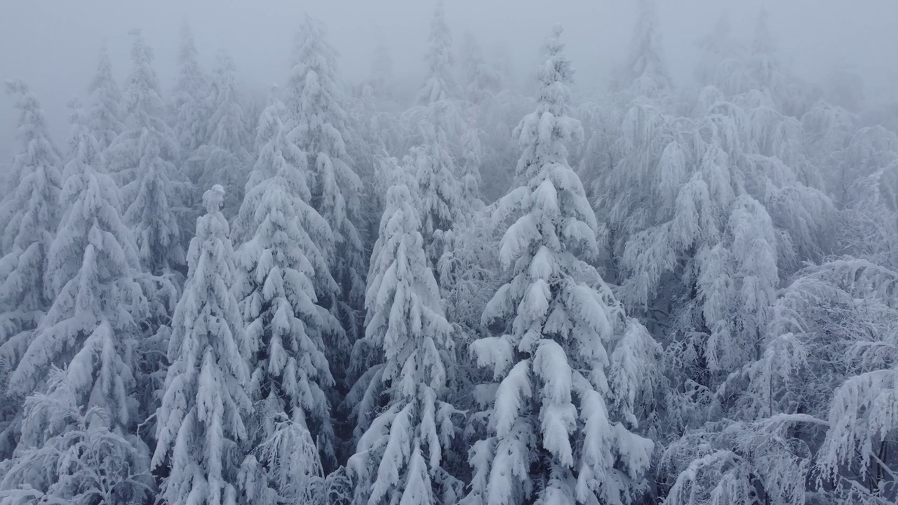 巴尔干山脉上美丽的冬季雪景视频下载