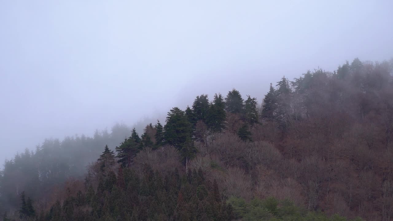 雄伟的山景:移动晨景中的云雾环境视频素材