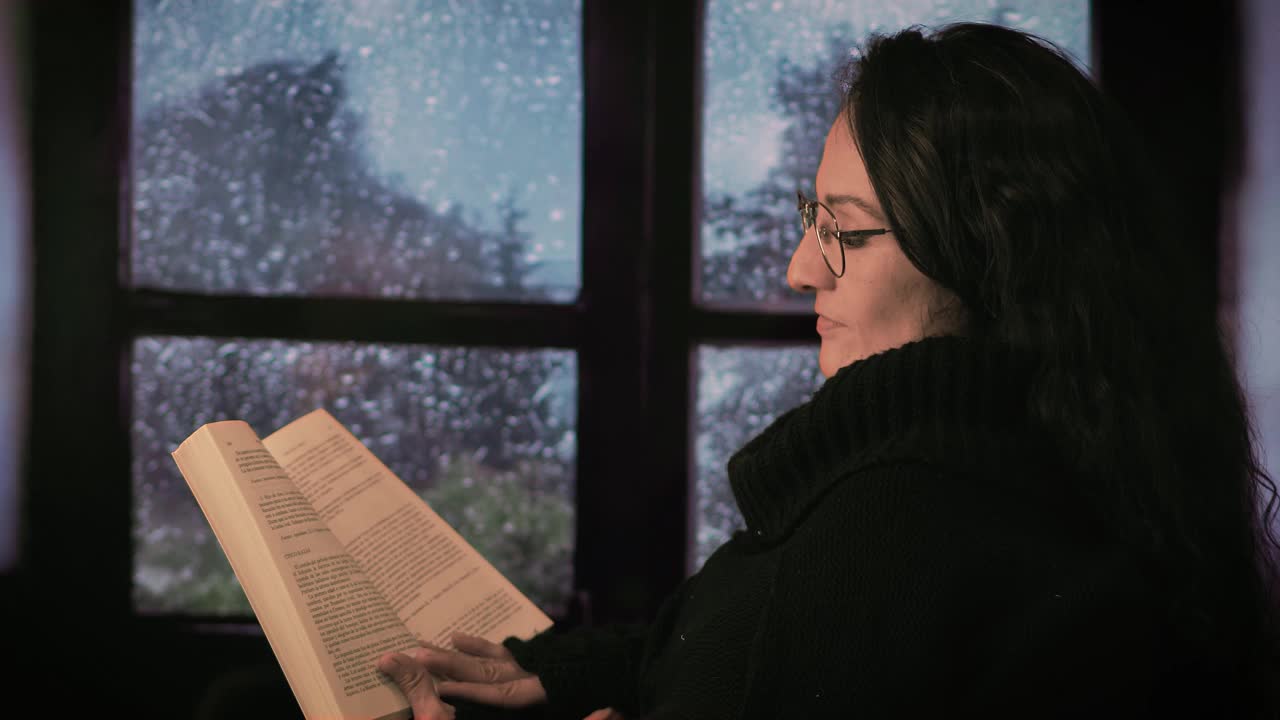 一个下雨天，一个女人在窗前看书视频下载