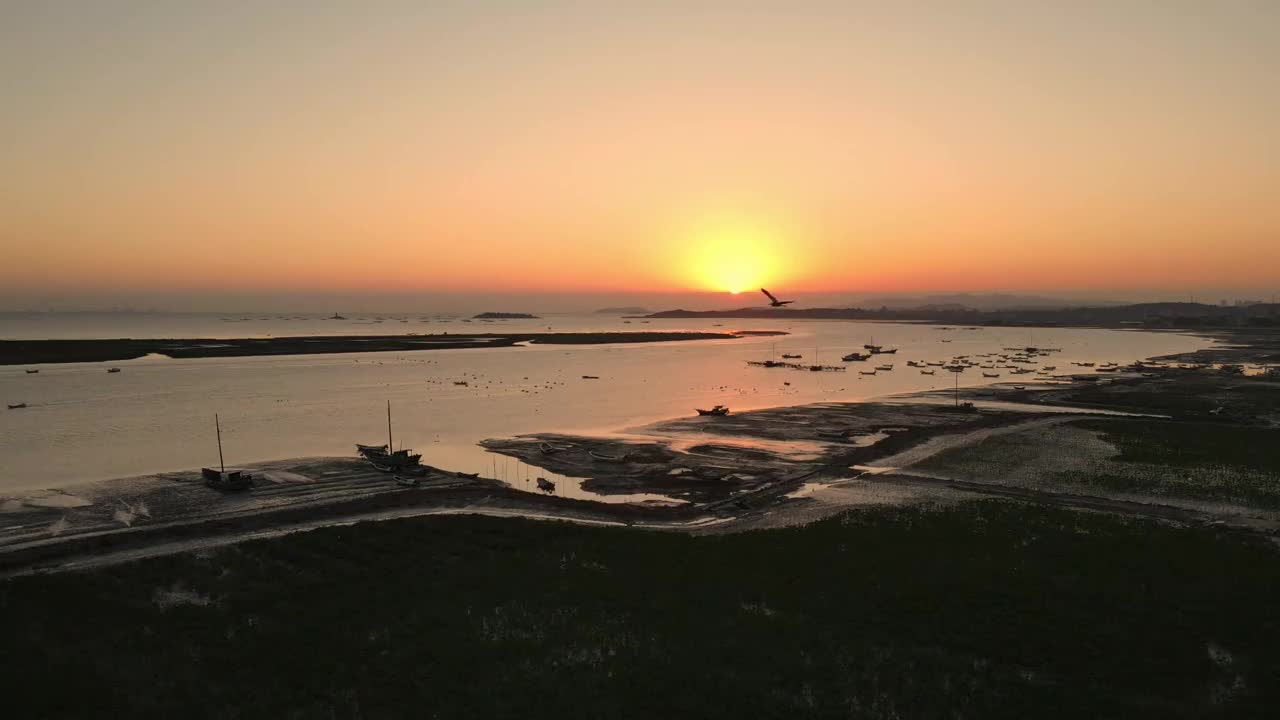 日出后的海滩和停泊的渔船视频素材