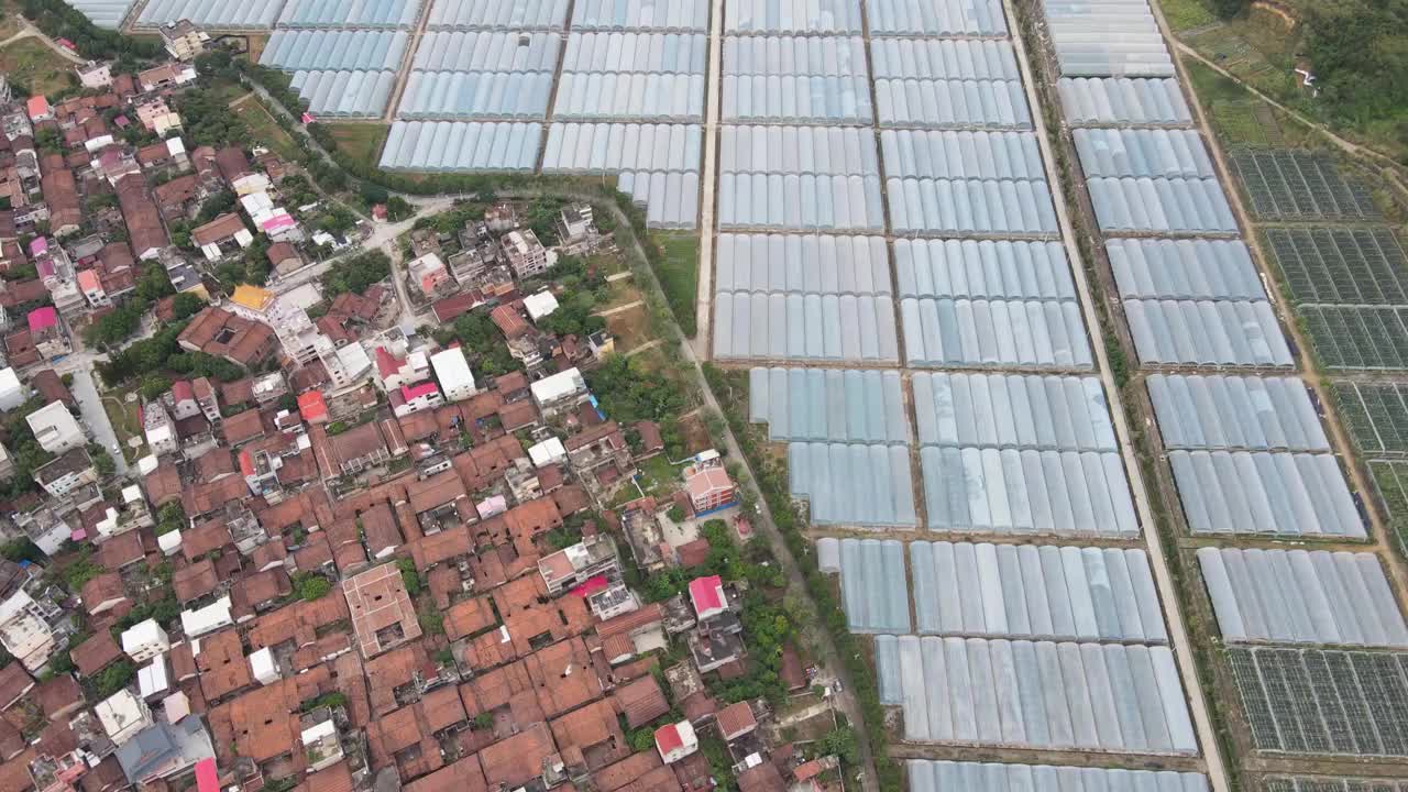 乡村现代温室的鸟瞰图视频素材