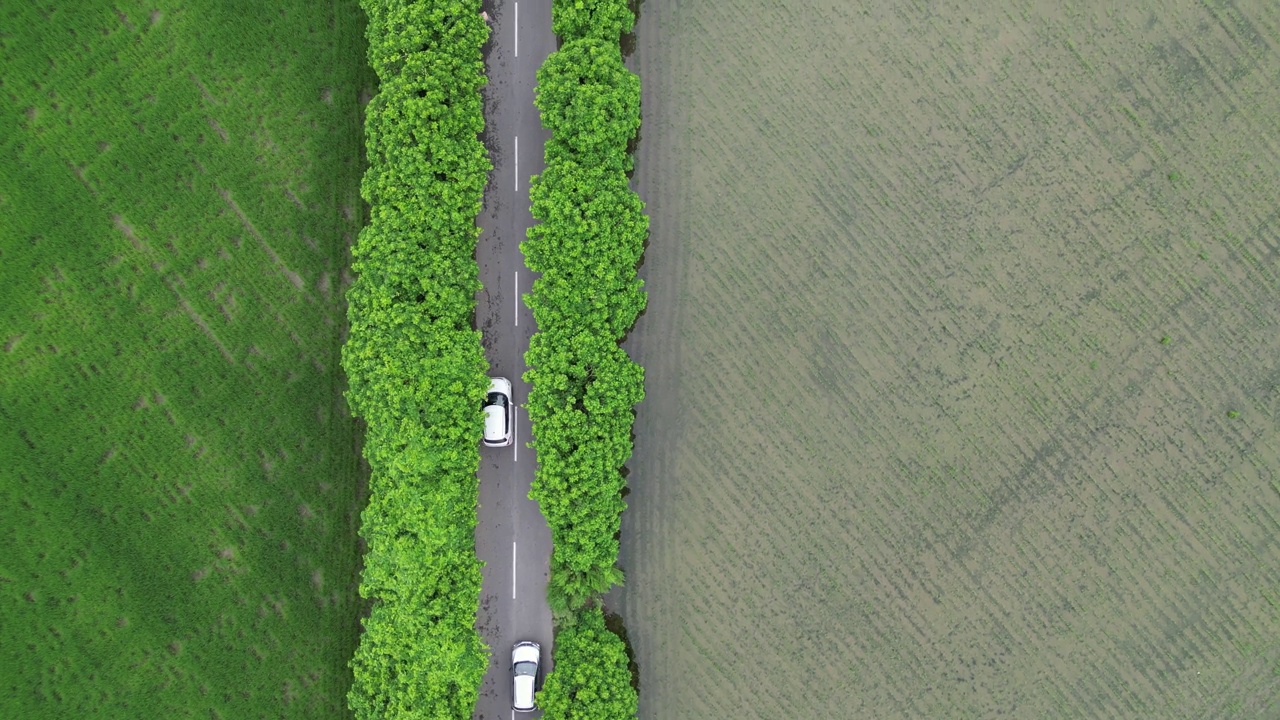 航拍视频显示，汽车行驶在被农田和绿色草地包围的道路上视频素材