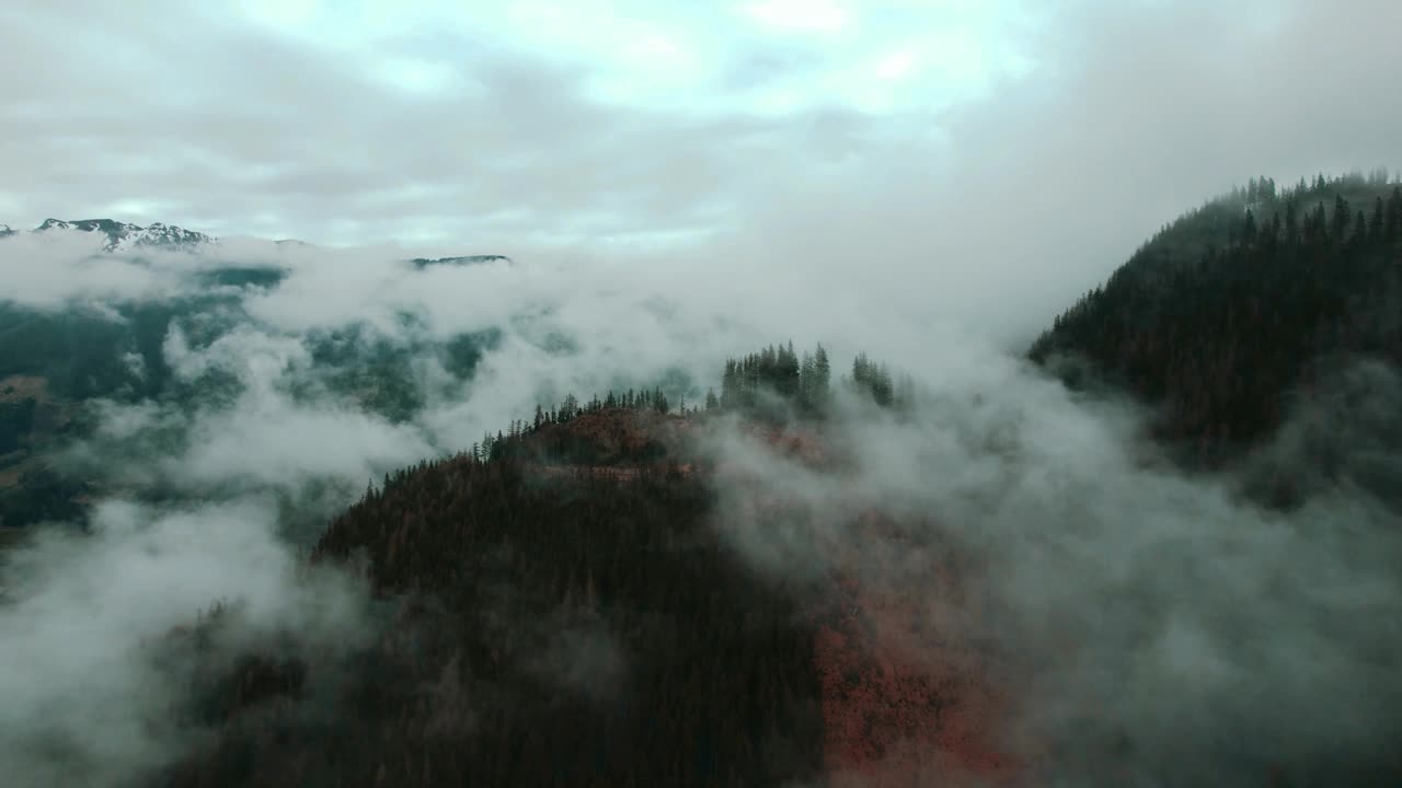 空中录像显示，神秘的多雾的落基山脉被树木覆盖视频素材