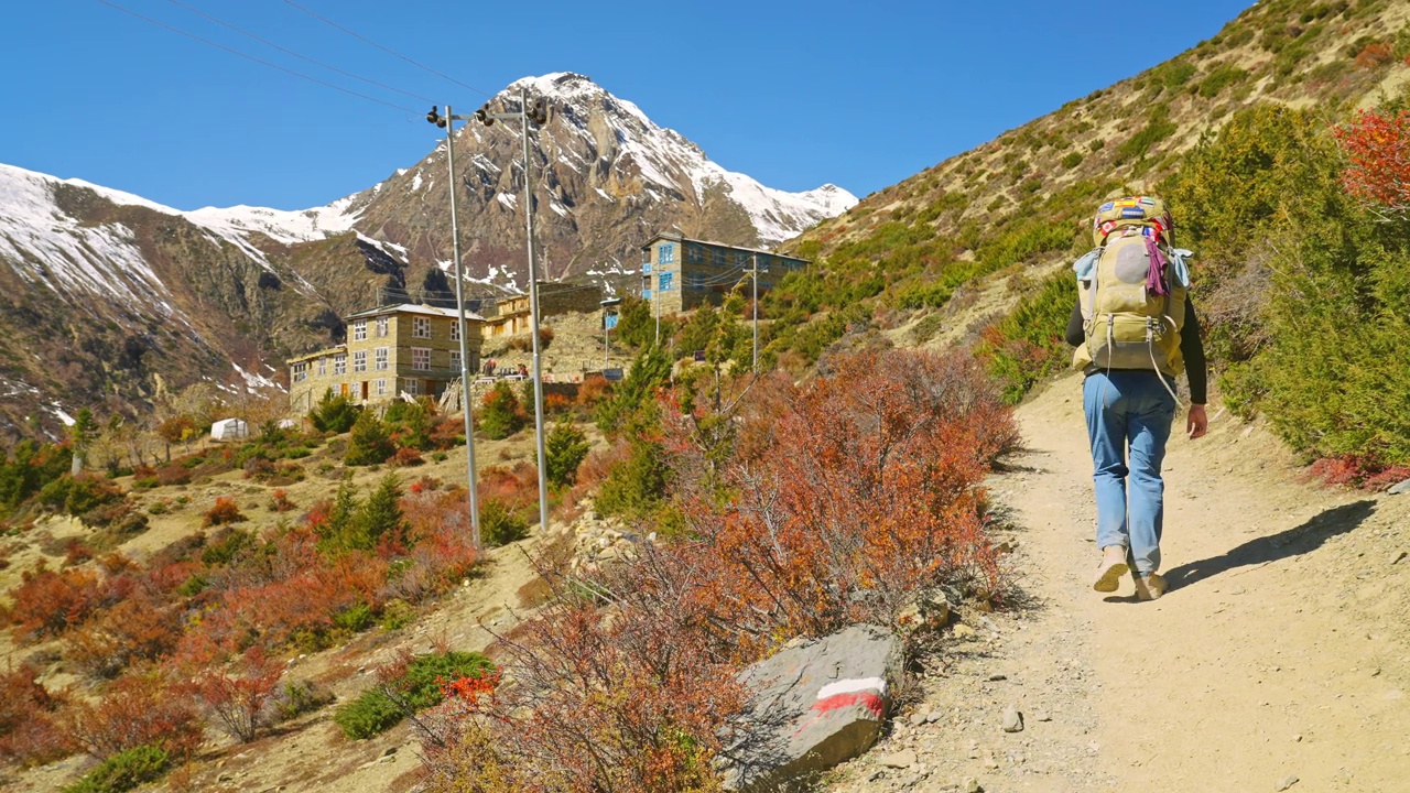 背包徒步旅行者走在风景秀丽的山路上，前往喜马拉雅山高处的小农村定居点，尼泊尔安纳普尔纳环线视频素材