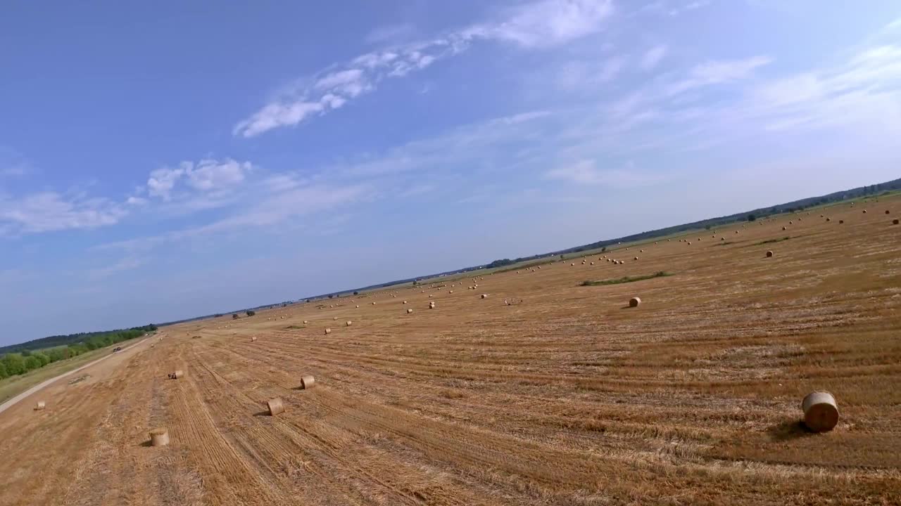 在多云的天空下，动态FPV飞行在黄田里与稻草捆视频下载