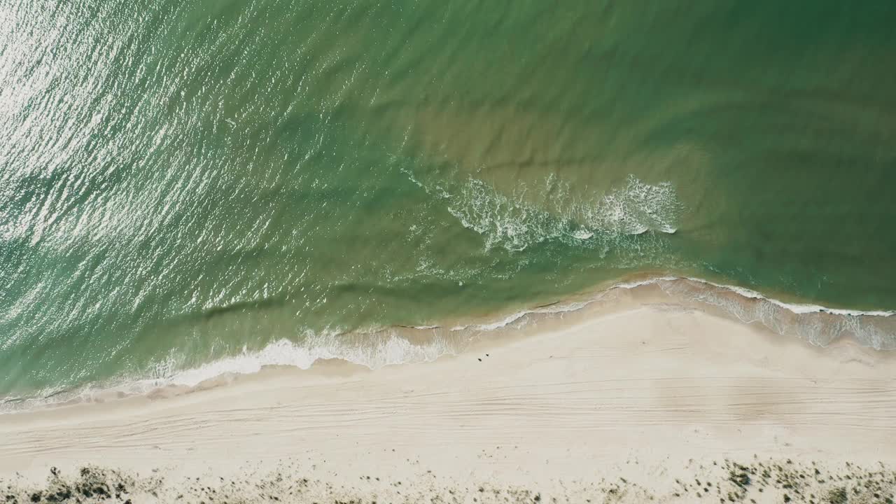 鸟瞰鸟儿在阳光明媚的日子里飞过海岸线的表面。视频素材