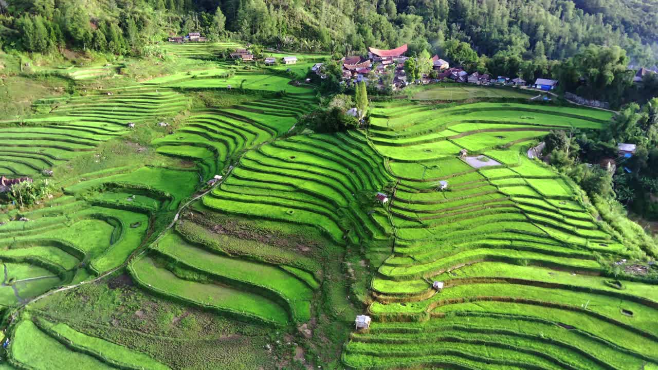 灰褐色旅游村视频素材