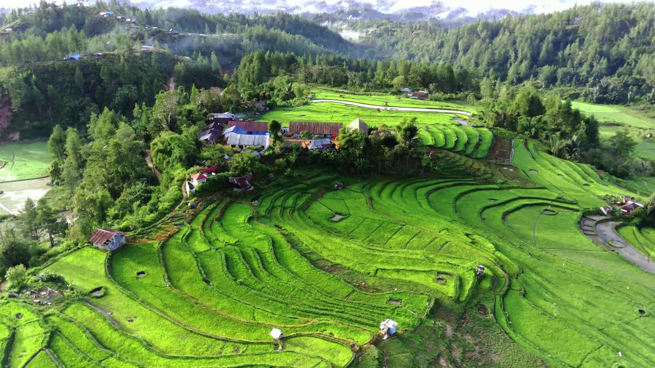 灰褐色旅游村视频素材