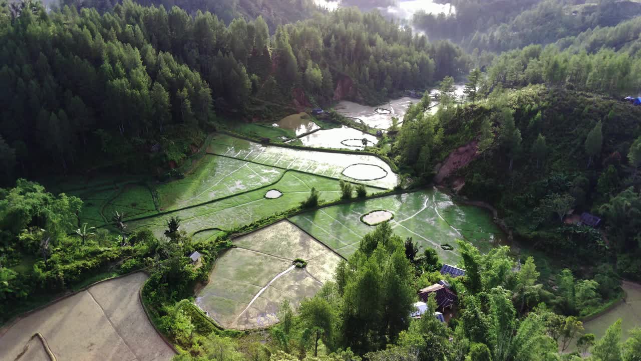 灰褐色旅游村视频素材