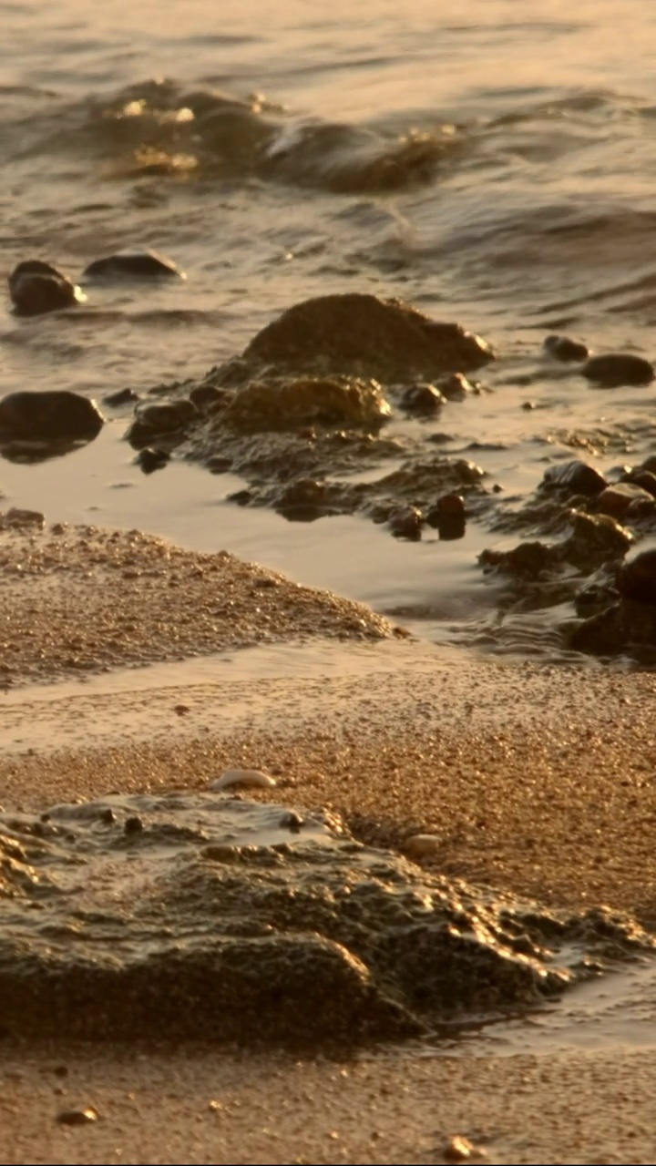 垂直视频，慢动作，自然背景，海浪冲向砂岩海岸。海浪慢慢地漂向沙滩。特写镜头视频素材