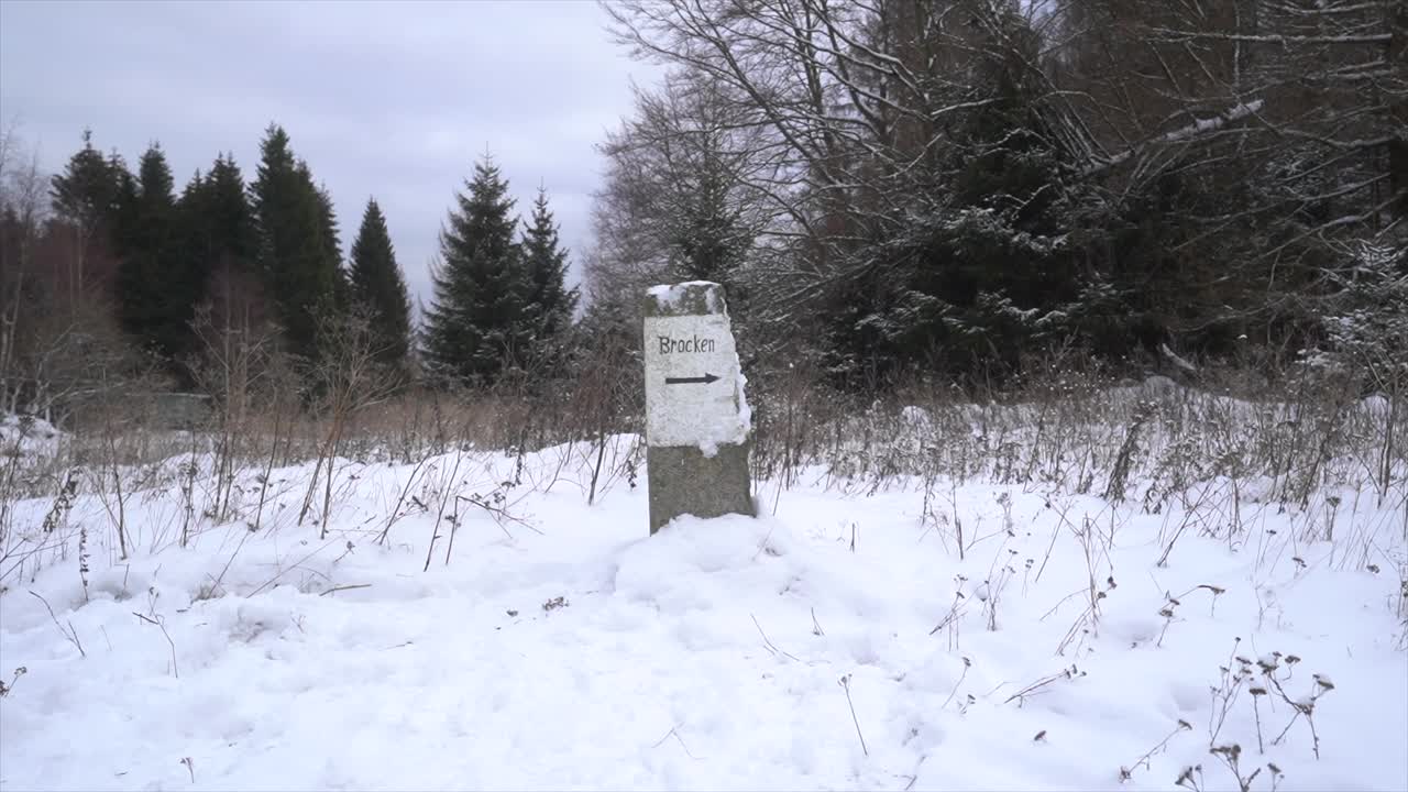 美丽的森林风光，许多冷杉树被雪覆盖。在寒冷的冬天徒步旅行视频素材