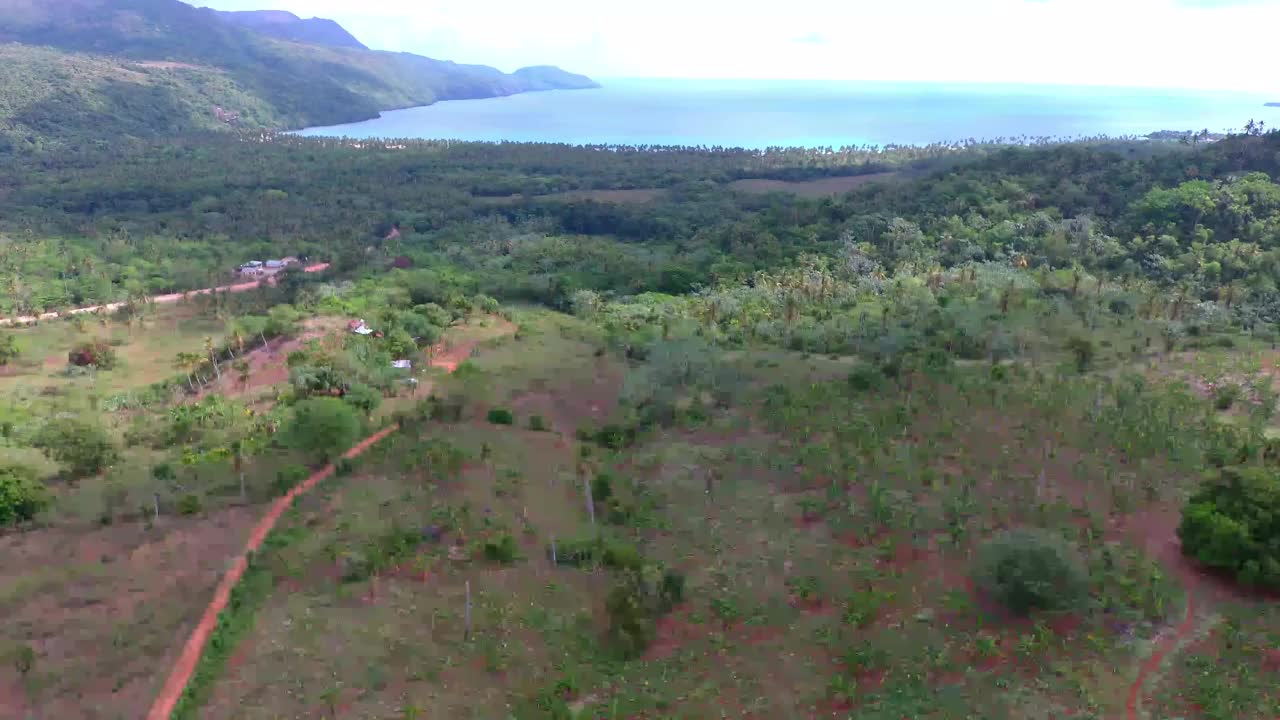 4K的树木种植区域鸟瞰图视频素材