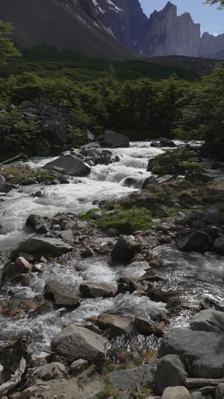 Torres del Paine国家公园的淡水溪流瀑布在森林和山脉之间视频素材